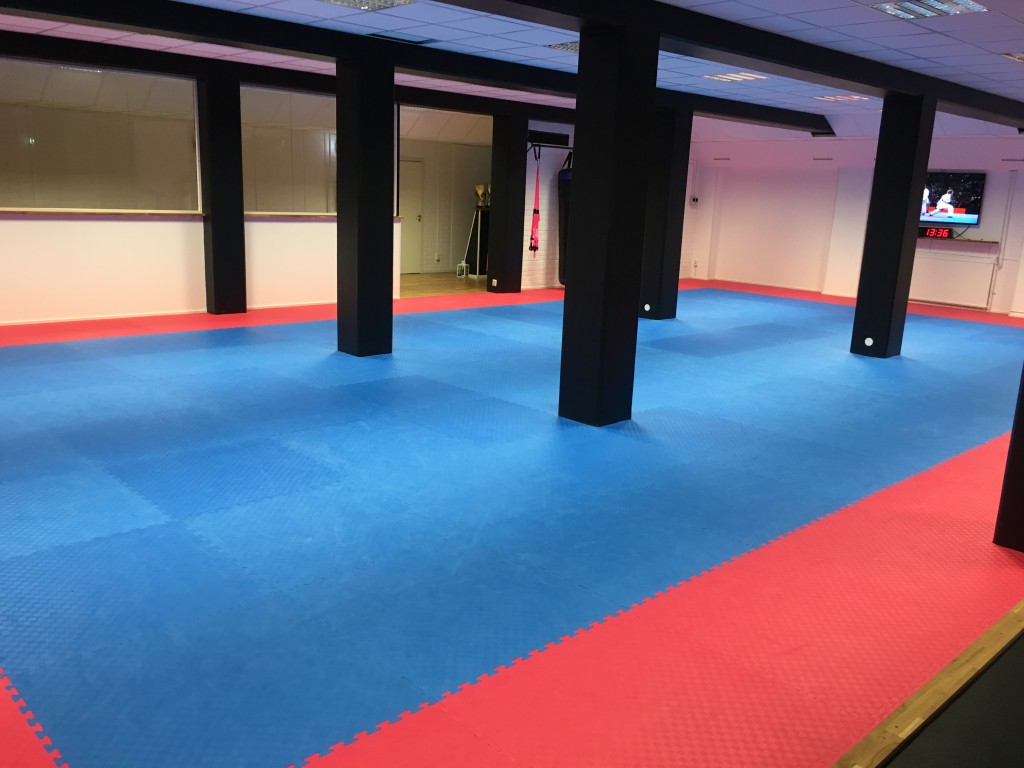 dojo3